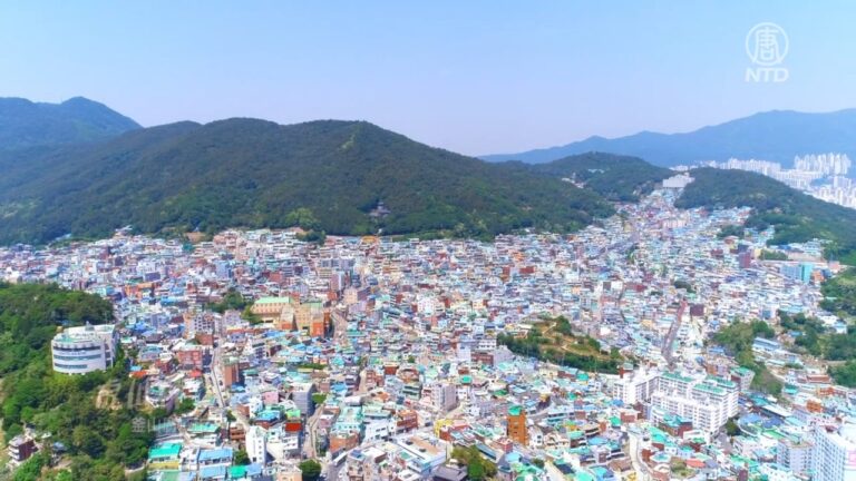 【你好韓國】世界青年的釜山活力之旅（一）