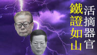 【內幕】張高麗為何承認江澤民是活摘元凶