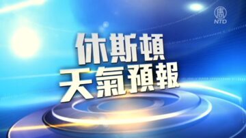 休斯顿一周天气预报