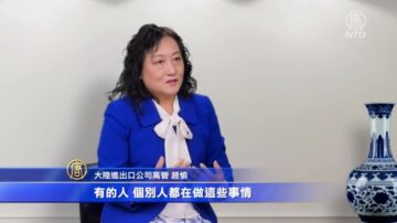 【社會主義真面目】大陸移民進出口公司部門經理（二）