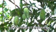 【廣告】美麗心台灣：用心的產業