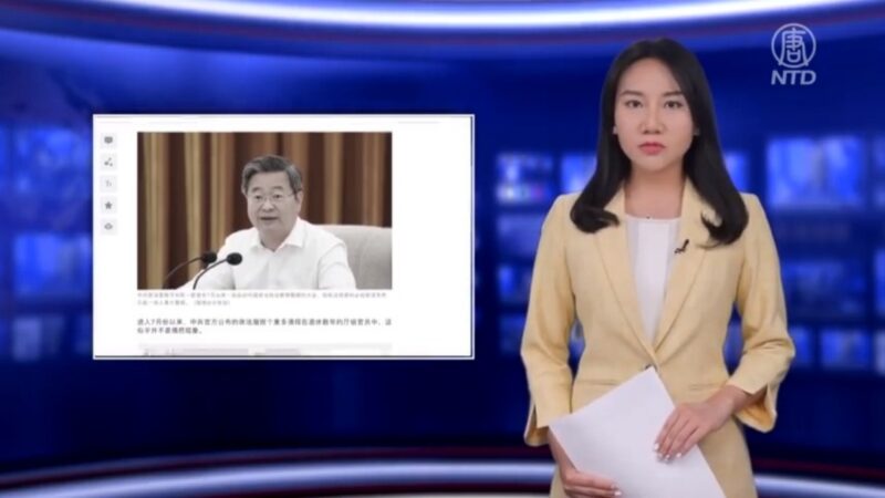 连线王愉贺：中共政法倒查三十年 给江派的警告信号？