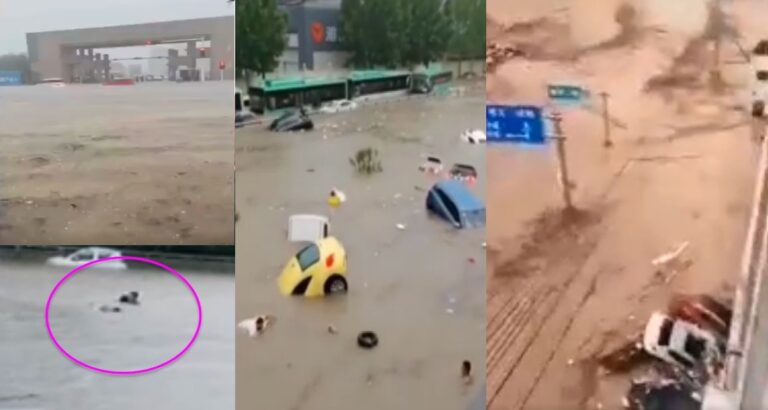 中國鄭州一片汪洋 車淹人溺亡 直播女驚呼：媽呀