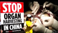 【重播】CPDC：制止中共活摘器官及種族滅絕