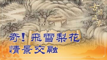 【古韻流芳】岑參邊塞詩 飛雪似梨花