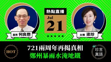 【珍言真語】何良懋：7·21事件標誌法治淪亡