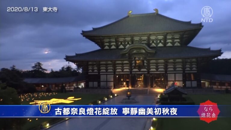 古都奈良燈花綻放 寧靜幽美初秋夜