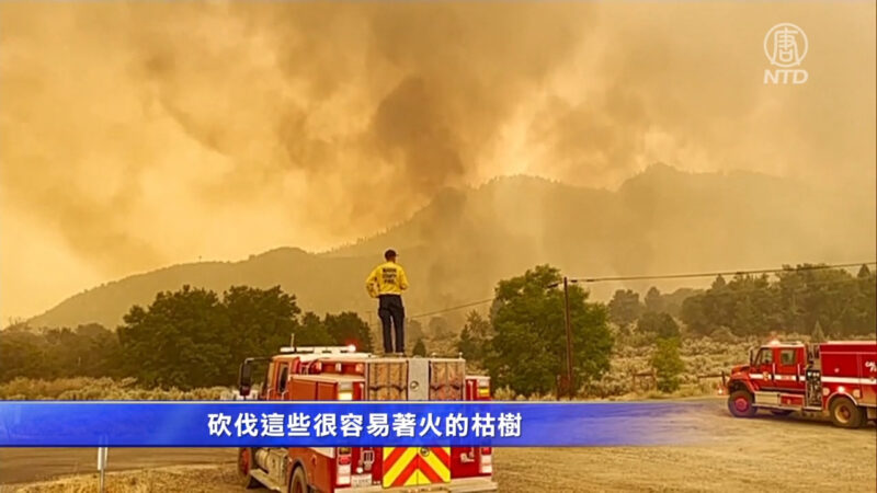 强风吹袭植被干燥 卡尔多山火迅速扩散