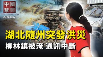 【中国禁闻】8月12日完整版