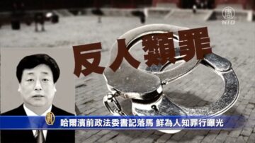 哈尔滨前政法委书记落马 鲜为人知罪行曝光