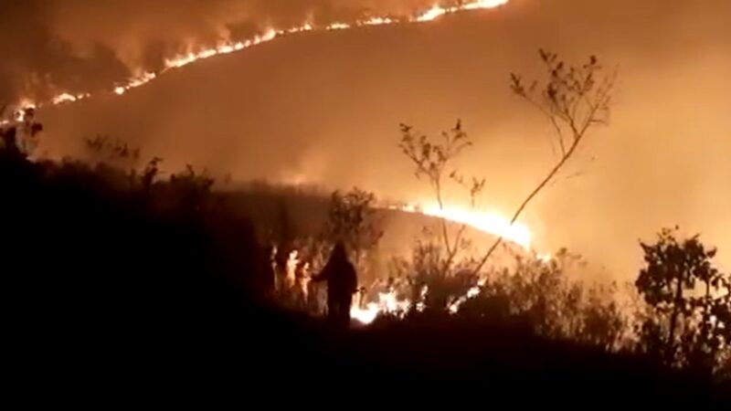 火气球引大火 圣保罗州立公园烧毁大半面积