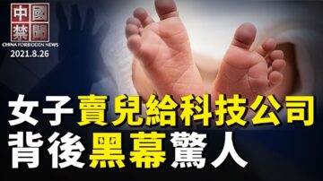 【中国禁闻】8月26日完整版