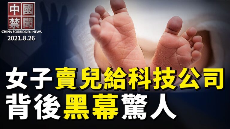 【中國禁聞】8月26日完整版