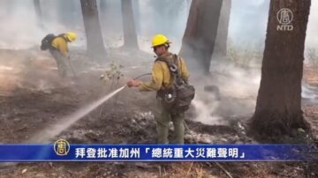 拜登批准加州“总统重大灾难声明”