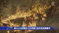 野火6小时蔓延1200英亩 加州再颁撤离令