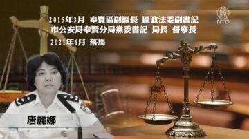 【落馬官員】上海市奉賢公安分局長唐麗娜被查 曾迫害法輪功