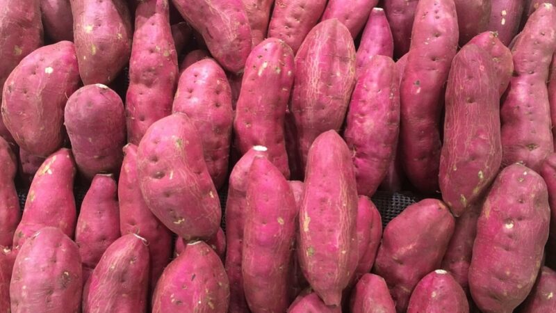 它是「抗癌第一菜」 揭秘5大防癌抗癌蔬菜