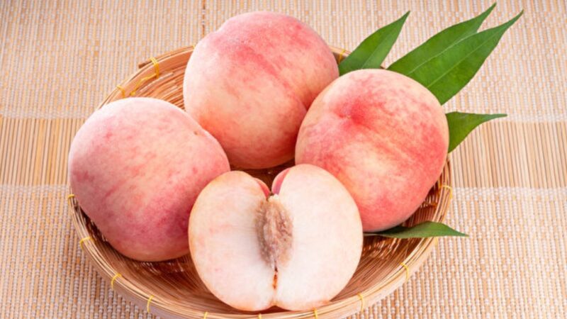 夏日絕佳水果桃子的多種吃法