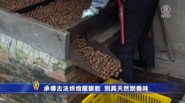 承传古法烘焙龙眼干 别具天然炭香味