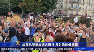 【最新疫情】越南增逾8千 巴黎第三周大游行