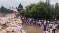浚縣六鄉鎮成為洩洪區 百萬畝耕地絕收