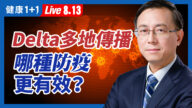 【重播】Delta多地传播 哪种防疫方式有效？