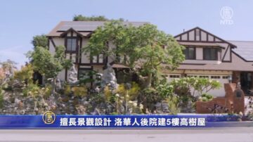 擅长景观设计 洛华人后院建5楼高树屋