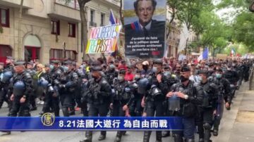8.21法国大游行 为自由而战