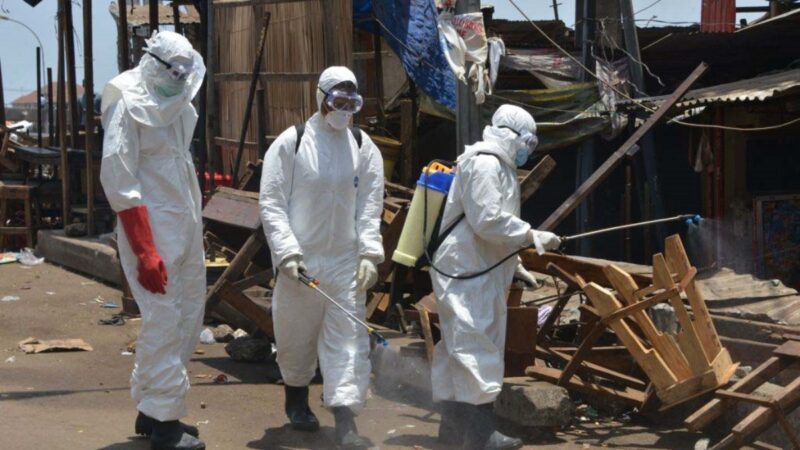 西非首現馬爾堡病毒死亡病例  WHO：致死率達88%
