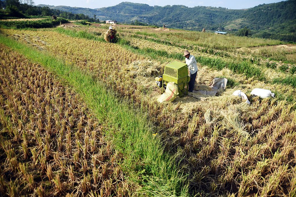 【禁闻】中共拟推农户承包地退出机制 引担忧