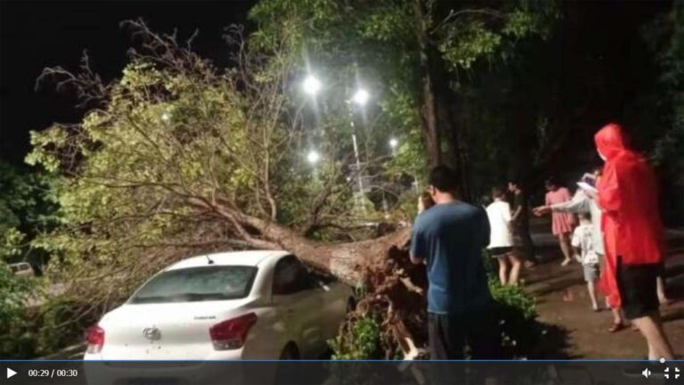 河南北部再遭暴風雨襲擊 拔樹倒屋 大面積停電