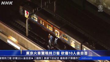 东京火车惊现持刀客 砍伤10人后自首