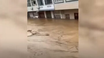 湖北暴雨 柳林镇水淹二楼 居民断讯急求助