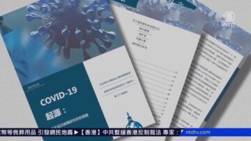 連線王愉賀：病毒溯源調查90天期限到了 會有結論嗎