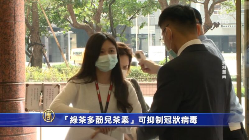 “绿茶多酚儿茶素”可抑制冠状病毒