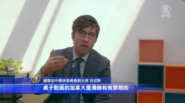 【专访】加国会加中委员会副主席：对中共须强硬