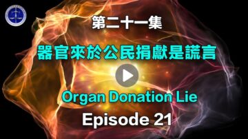 【铁证如山系列讲座21】器官来于公民捐献是谎言