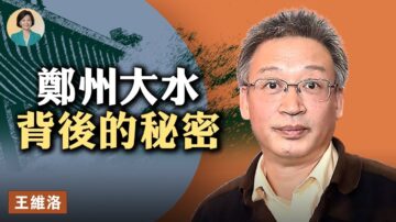 【方菲访谈】专访王维洛：郑州洪灾与南水北调