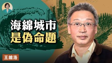 【方菲訪談】專訪王維洛（下）：海綿城市不海綿