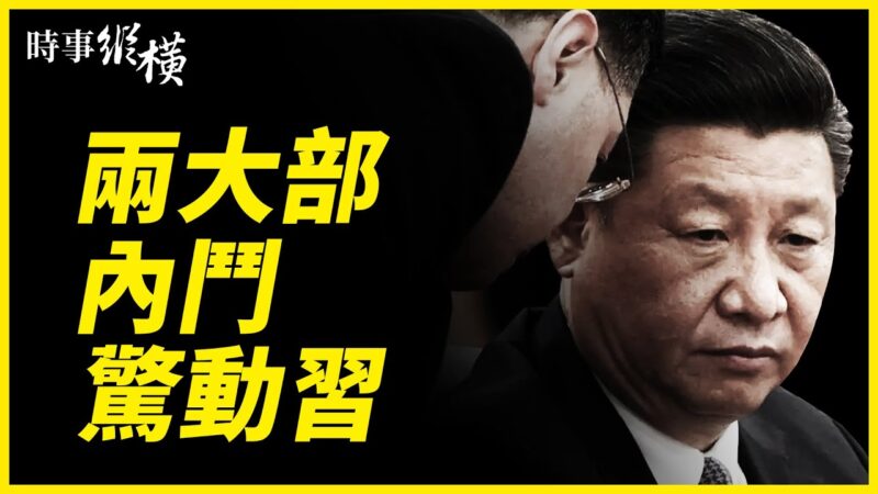 【时事纵横】战狼言行谁买单？传中共两大部起内讧