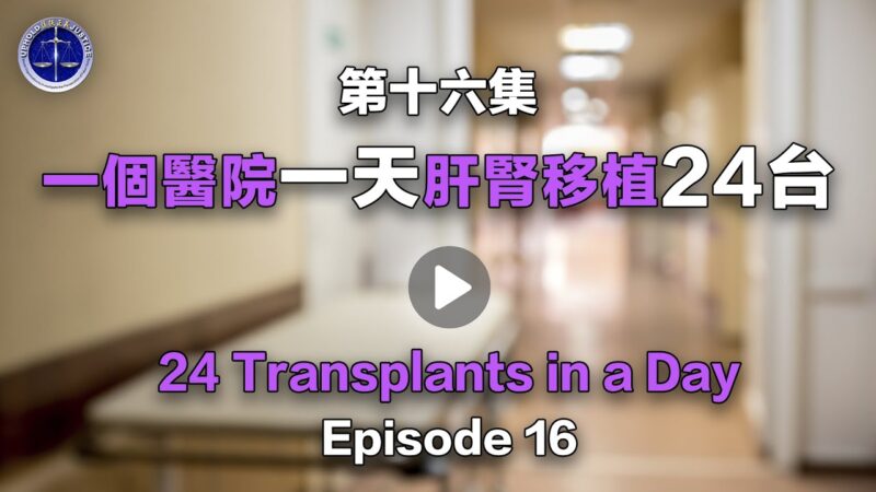 【鐵證如山系列講座16】一個醫院一天肝腎移植24台