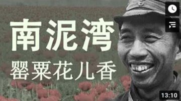 夜话中南海：没有罂粟和鸦片就没有共产党