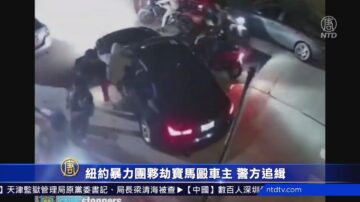 紐約暴力團伙劫寶馬毆車主 警方追緝