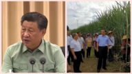 习近平再谈备战打仗 李克强甘蔗地里聊天(视频)