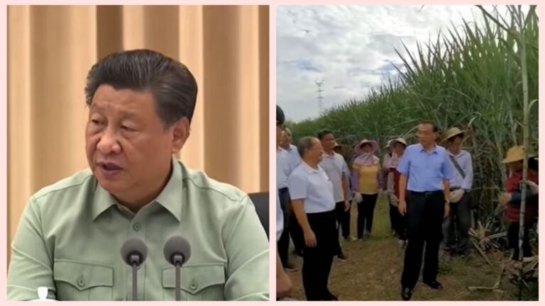 習近平再談備戰打仗 李克強甘蔗地裡聊天(視頻)