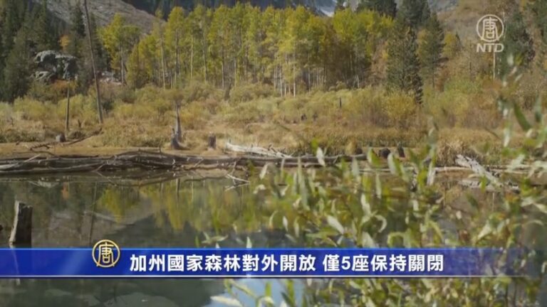 加州國家森林對外開放 僅5座保持關閉
