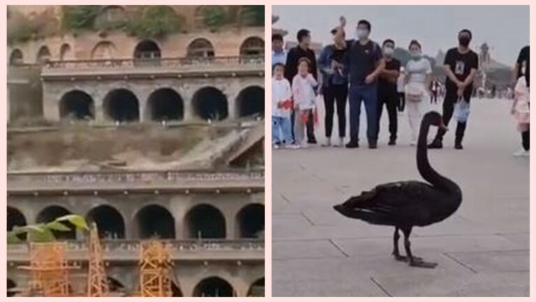中國變天前兆？延安窯洞坍塌 黑天鵝落天安門