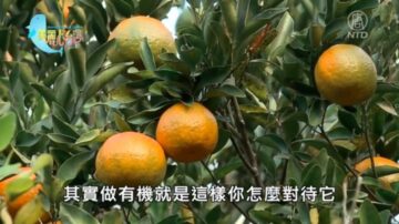 美丽心台湾：适地适种 土壤与草相探讨