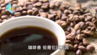 美丽心台湾：种好咖啡 烘好咖啡全是功夫