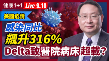 【重播】美国疫情感染同比攀升316%？